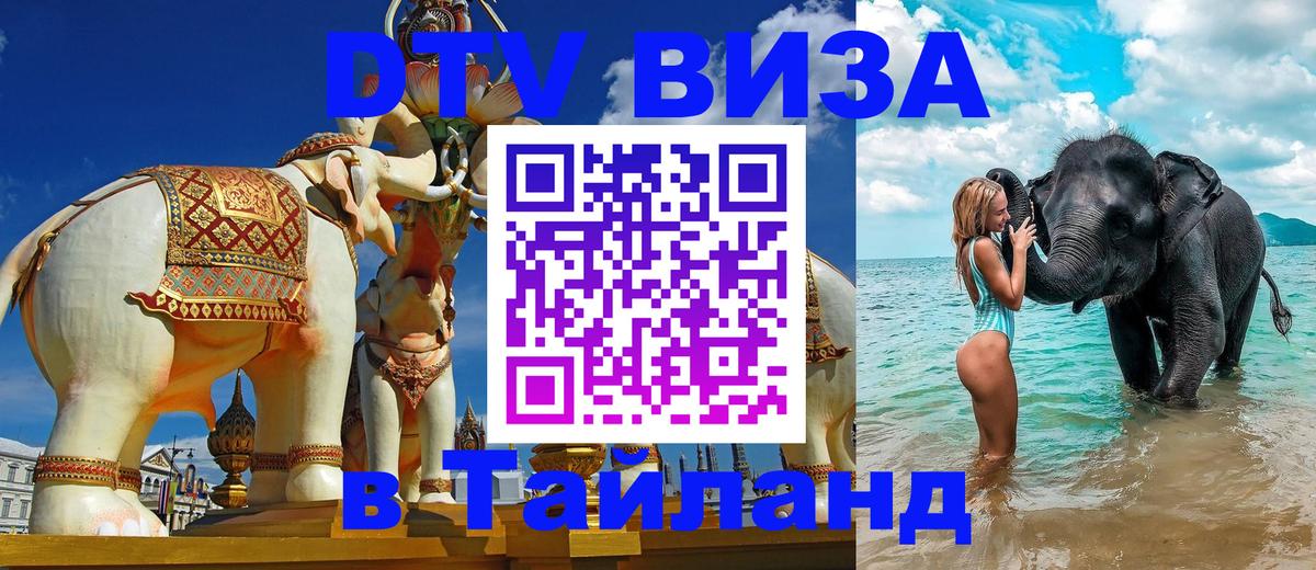 Оформление DTV визы под ключ: стоимость и тарифы, только загранпаспорт - 19.11.2025 